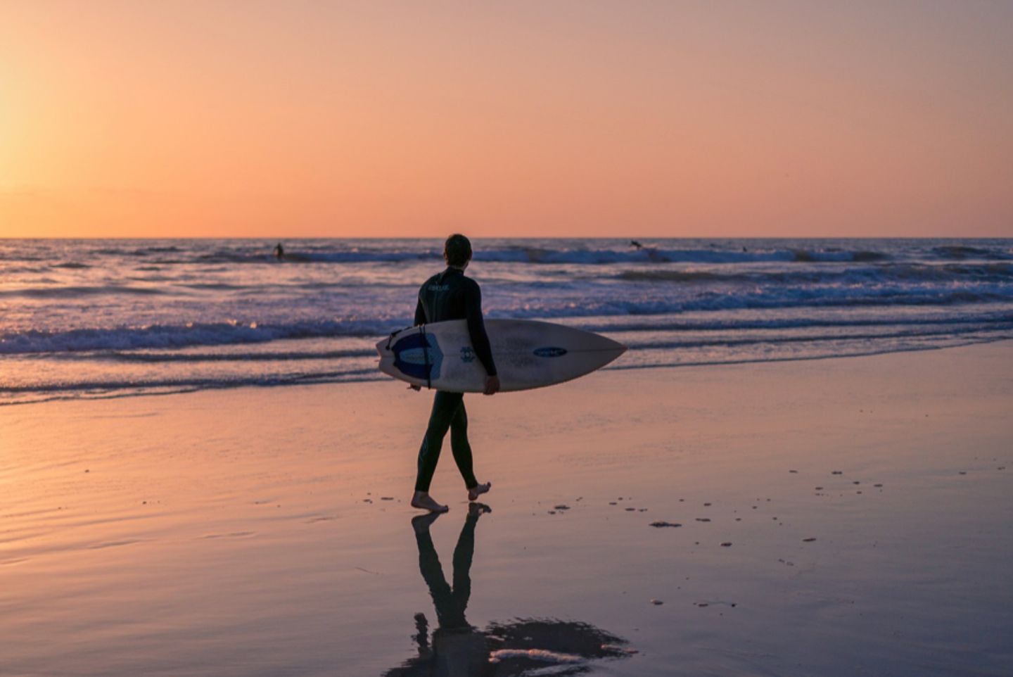Sunset time and surfer holding surfboard on the beaches of San Diego. The water is calm and the sky is reflecting off the water and sand.