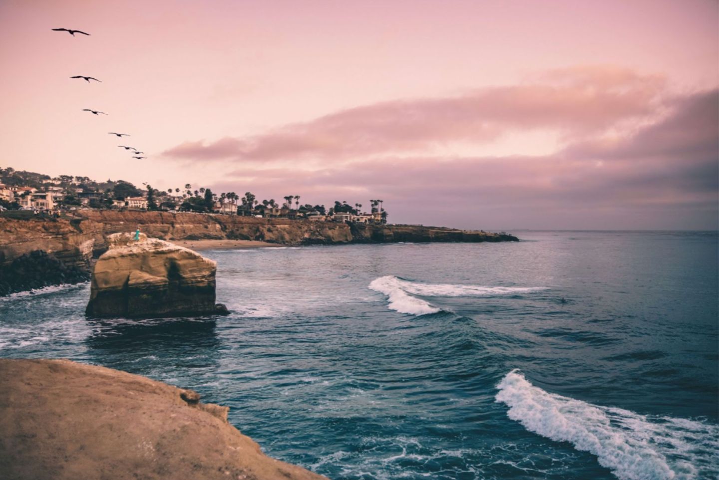 Purple and blue sunset sun La Jolla with rock cliffs and water and a line of birds flying through the sky