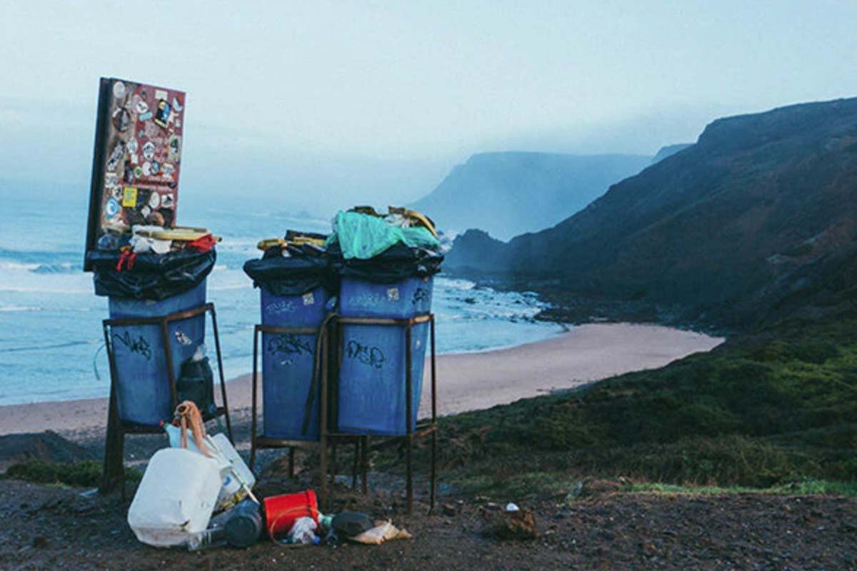 5 Quick Sustainability Wins