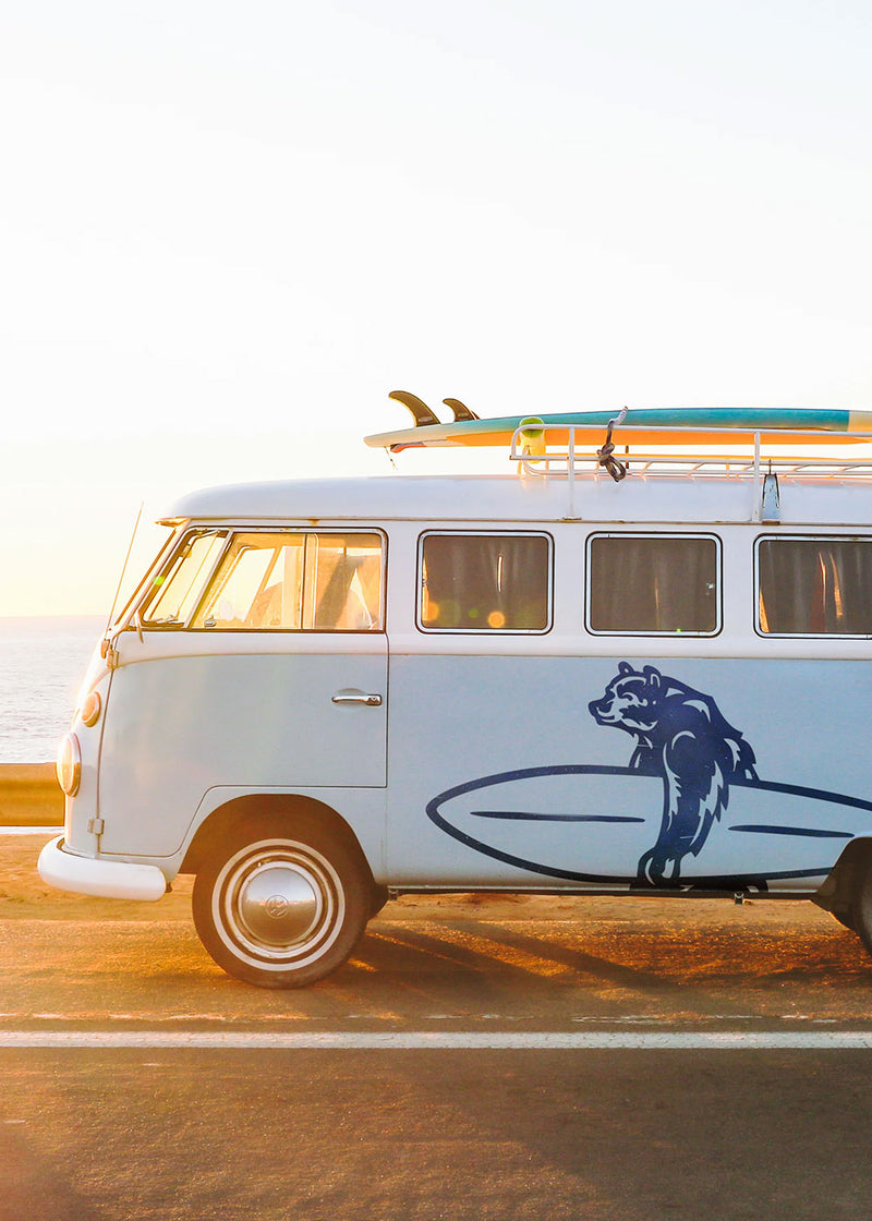 Photo of a VW van owned by Everyday California surf company. The van is sitting in front of the ocean and has a graphic of Brutus the Bear logo on it.