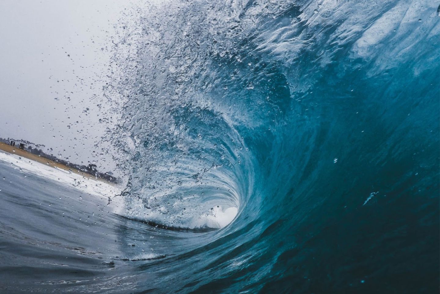 Side view of royal blue wave curling. large wave image. 