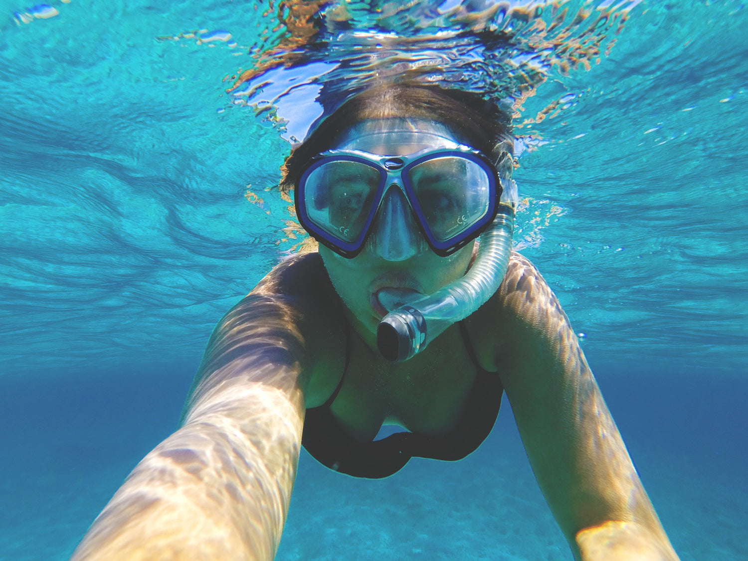 The Ultimate Local’s Guide to Snorkeling in La Jolla