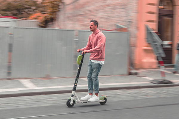 Bird is not the word...