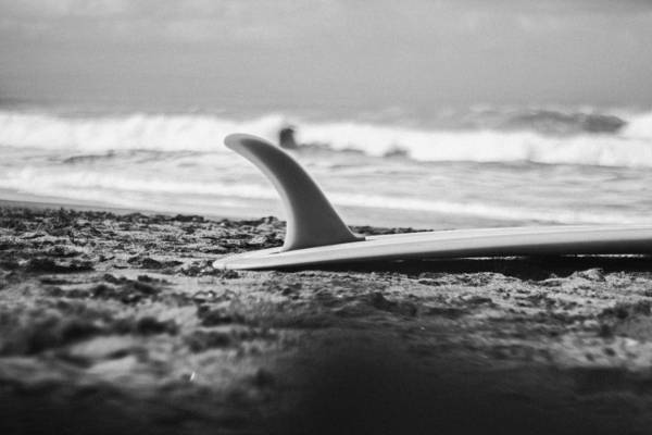 Surfing 101: Fins