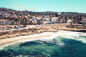La Jolla Tide Pools: A Guide to San Diego's Top Beaches