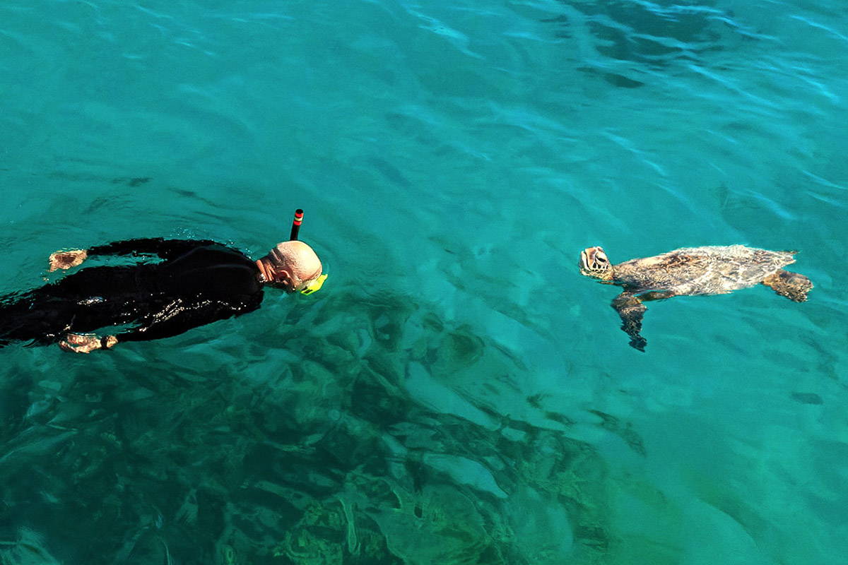Top 5 Southern California Snorkeling Spots