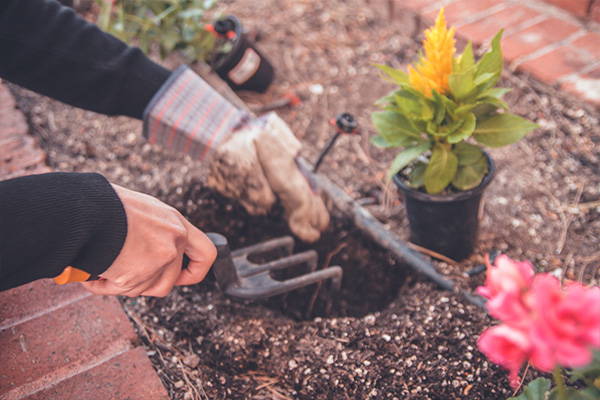 5 Tips for Sustainable Gardening