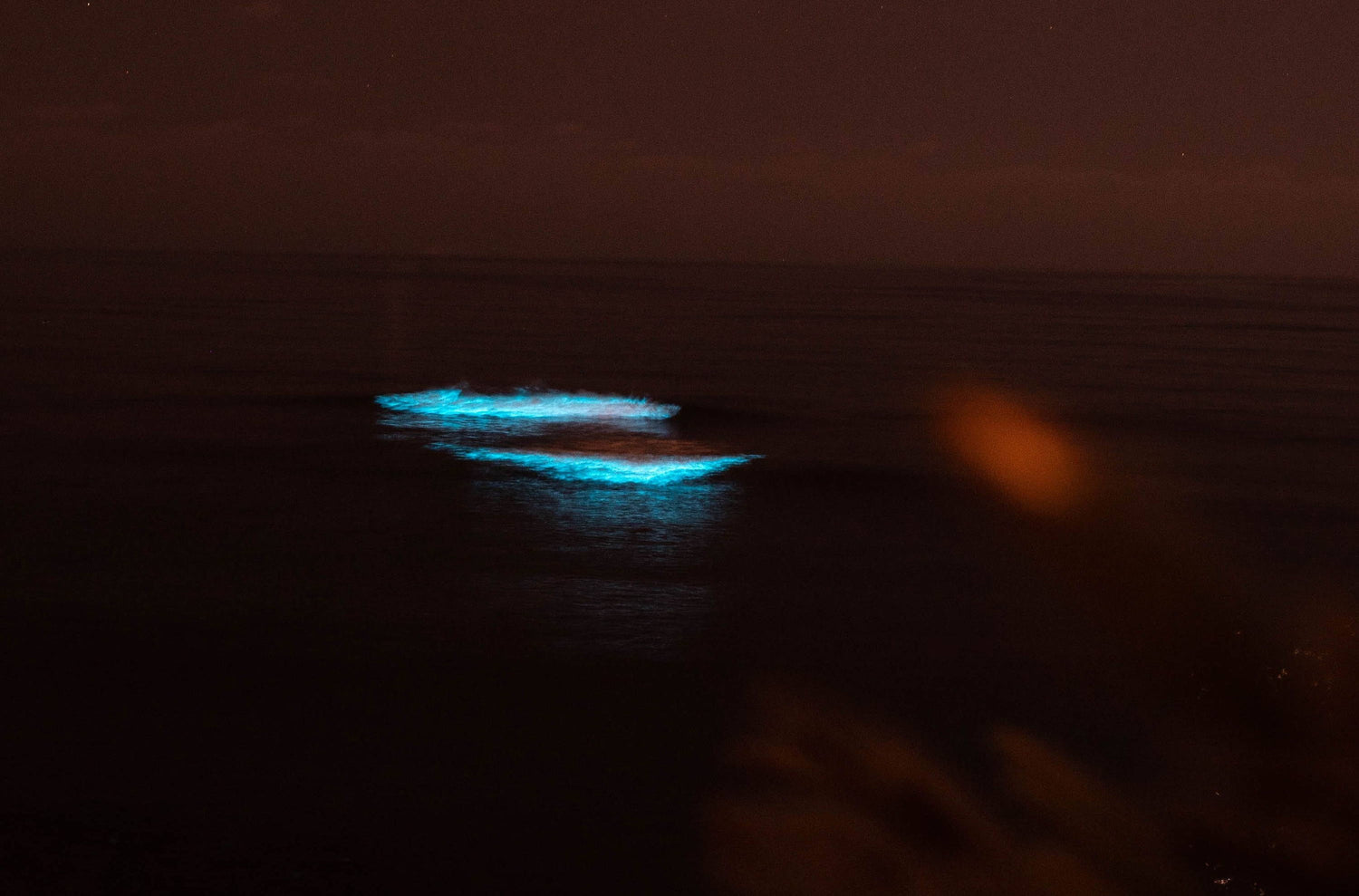 Glowing Waves in San Diego: Why It's Happening and How to See Them