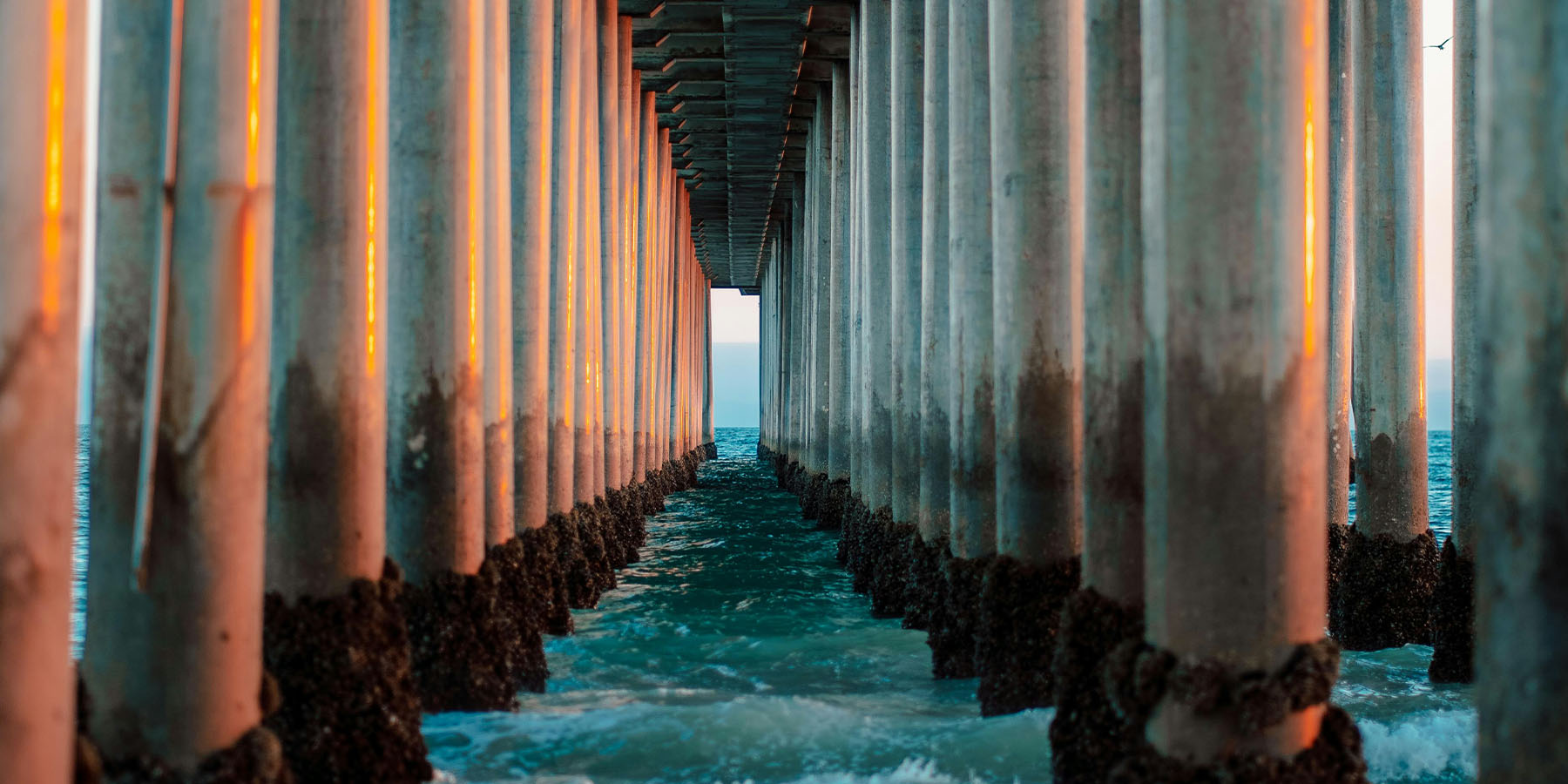 Pier with columns extending into the water