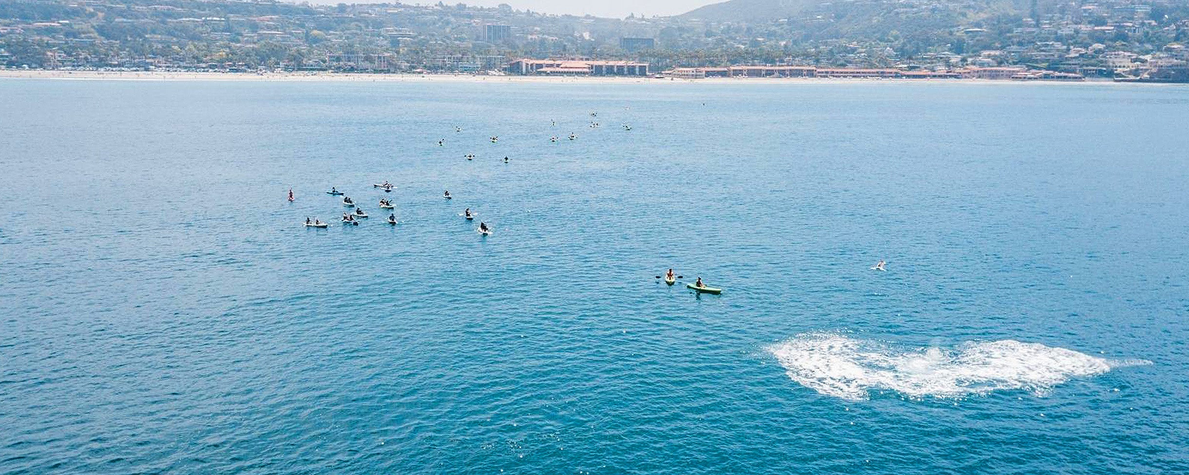 Overhead view of kayakers on an Everyday California tour on the Pacific Ocean in La Jolla, San Diego, California